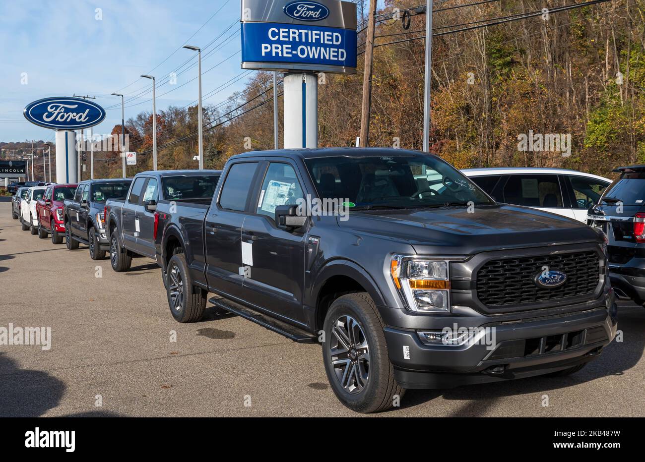 A line of Ford F 150 pick up trucks for sale at a dealership in