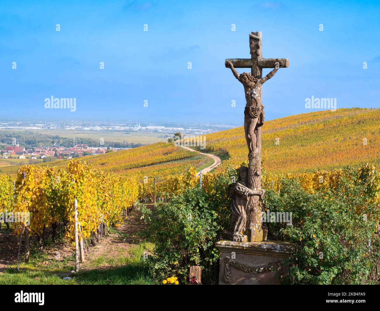 Vineyards in autumn colors on the hill of Turckheim - wine route of Alsace, France. Stock Photo