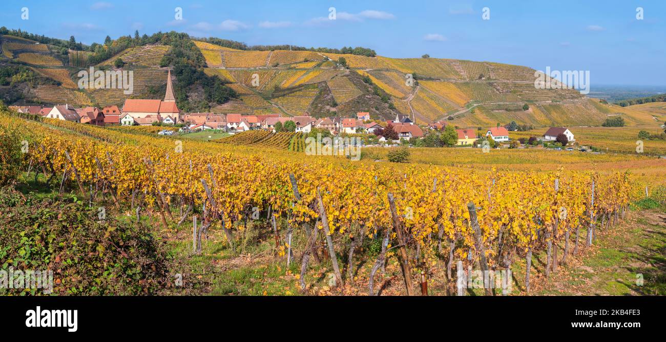 Located in the valley of the vineyards, the village of Niedermorschwihr in France is typical of the Alsace Wine Route. Stock Photo
