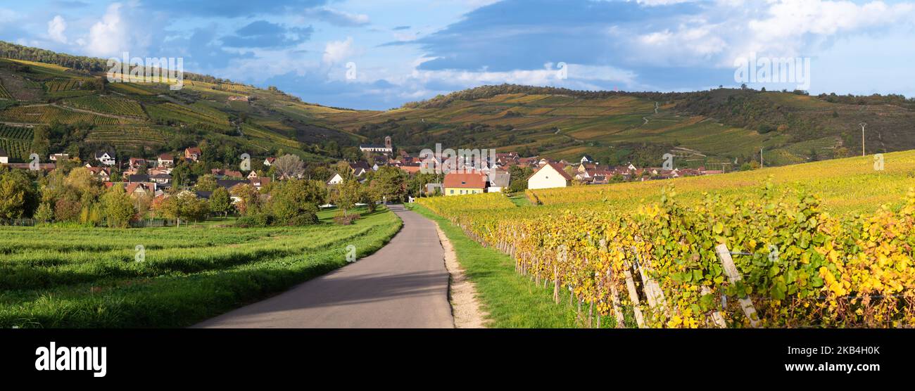 Located in the valley of the vineyards, the village of Westhalten in France is typical of the Alsace Wine Route. Stock Photo