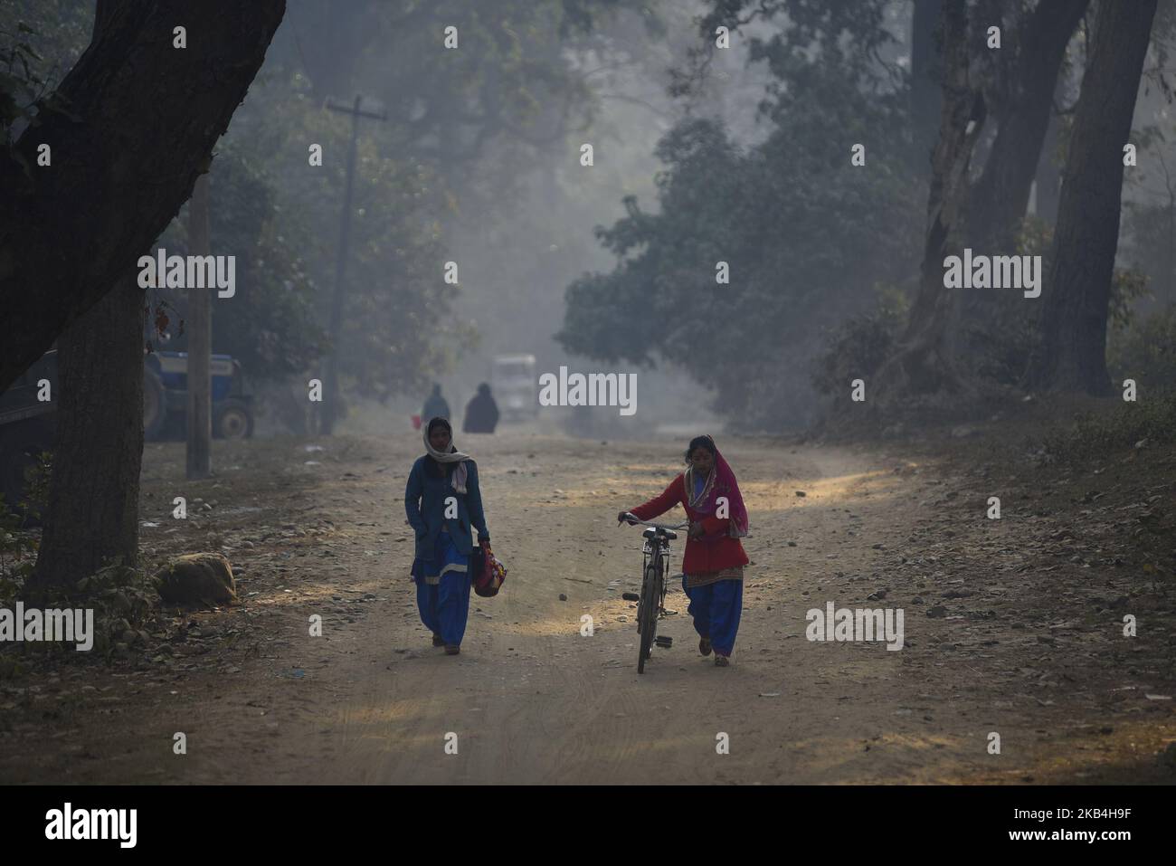 does nepal celebrate chinese new year