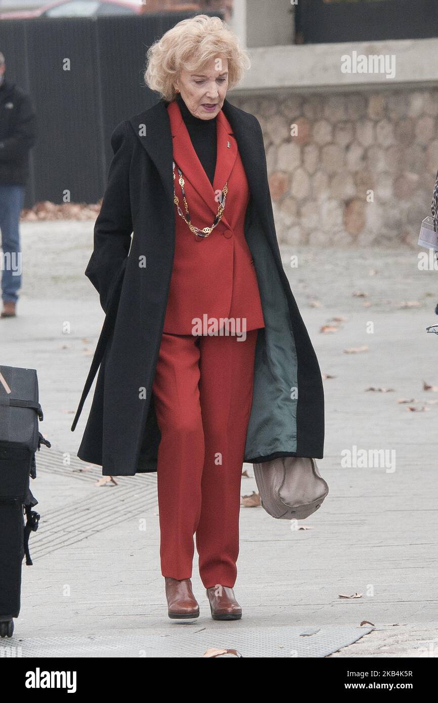 Marisa Paredes attends 'Puete de Toledo' award at Cineteca on January 17, 2019 in Madrid, Spain. (Photo by Oscar Gonzalez/NurPhoto) Stock Photo