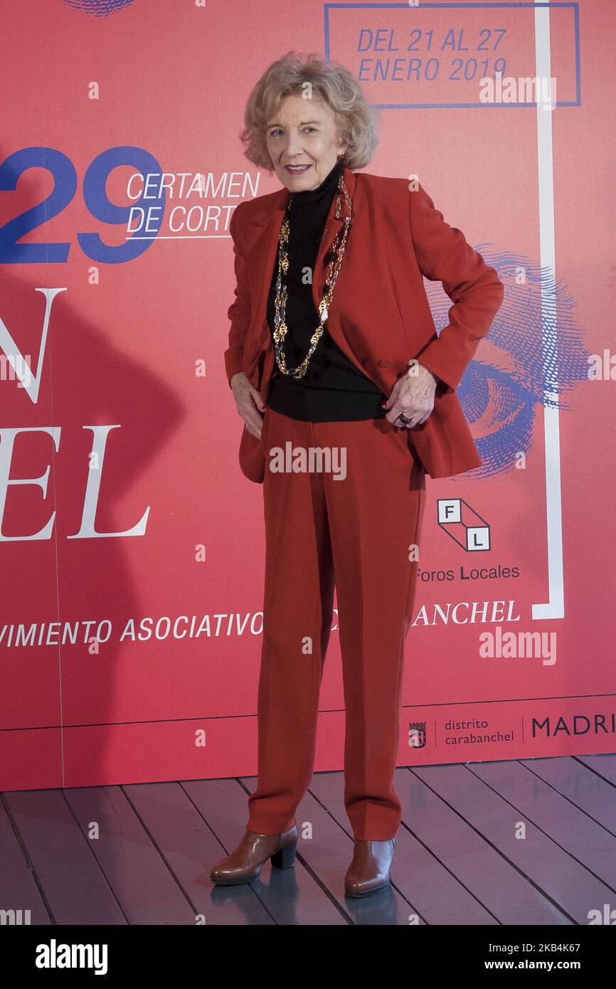 Marisa Paredes attends 'Puete de Toledo' award at Cineteca on January 17, 2019 in Madrid, Spain. (Photo by Oscar Gonzalez/NurPhoto) Stock Photo