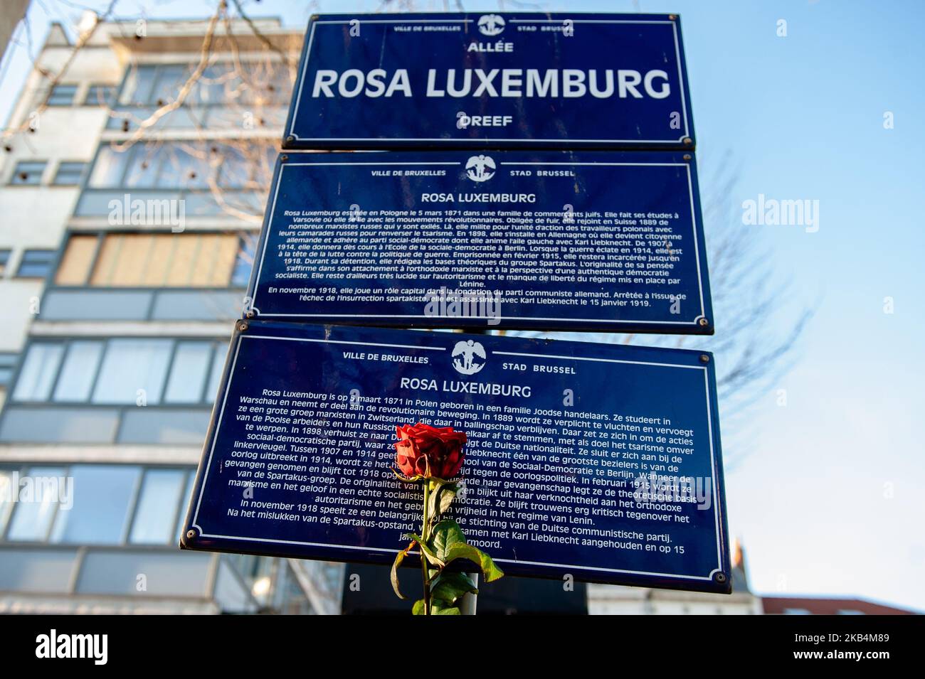 January 19th, Brussels. People gathered in Brussels to commemorate the 100th anniversary of the murder of the communist writer, pacifist, and radical inspiration Rosa Luxemburg and Karl Liebknecht. The meeting took place at the crossroads of l'Avenue de Stalingrad and Place Rouppe, where there is a plaque dedicated to the memory of Rosa Luxemburg. (Photo by Romy Arroyo Fernandez/NurPhoto) Stock Photo