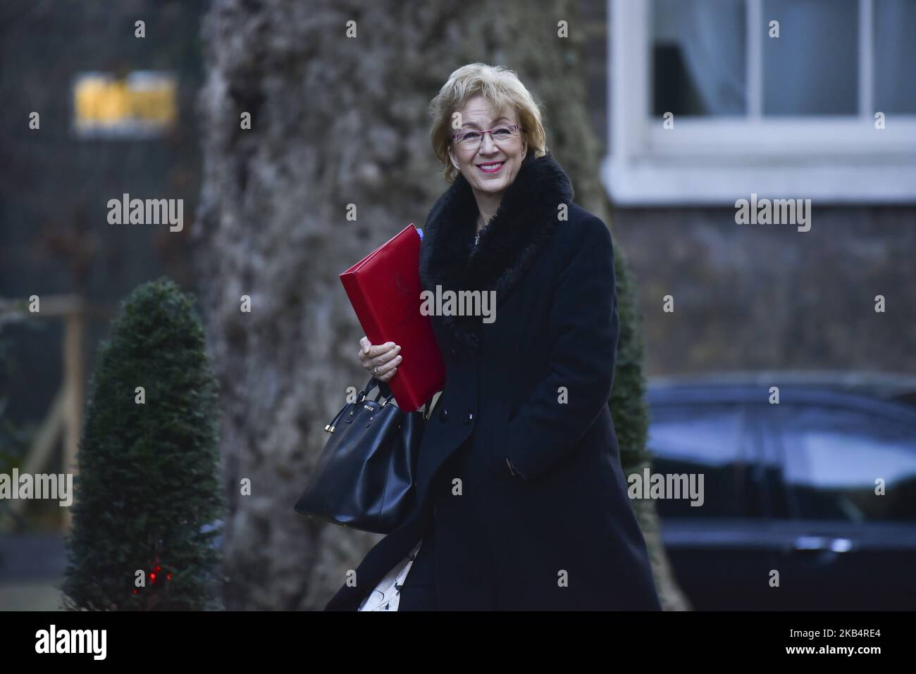 Leader of the House of Commons Andrea Leadsom arrives for the weekly cabinet meeting at Downing Street in London, UK on January 22, 2019. The Prime Minister outlined Plan B for her Brexit deal to MPs yesterday. It included scrapping the £65 settled status fee for EU citizens and considerations given to amendments to the deal on workers' rights, no no-deal and the Irish Backstop. (Photo by Alberto Pezzali/NurPhoto) Stock Photo