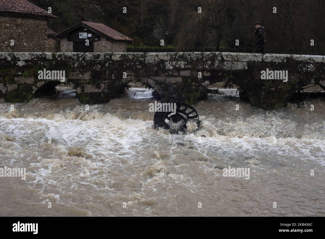 (1/25/2019) A boy passes by the bridge over the river that still fell very grown in the town of Ruente (Cantabria), Spain, on 25 January 2019 due to the amount of rain fallen by the storm. A total of 61 municipalities, most of them located in the riverbank areas of the community of Cantabria have been affected by flooding caused by heavy rains in recent hours, which have generated a situation 'very complicated' , especially in the basins of the rivers Saja and Besaya as well as in Caranceja or Virgen de la Peña.This forced to move to the area a unit of the UME (Military Emergency Unit) compose Stock Photo
