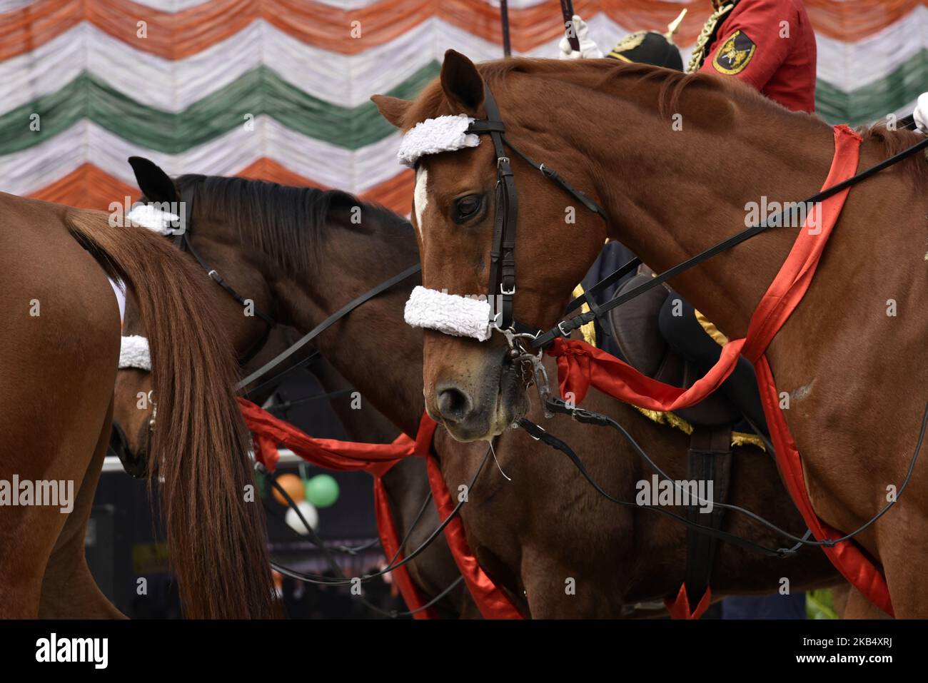 Mounted horse parade to mark the 70th Republic Day celebration at Veterinary Field in Khanapara, Guwahati, Assam, India on Saturday, Jan. 26, 2019. (Photo by David Talukdar/NurPhoto) Stock Photo