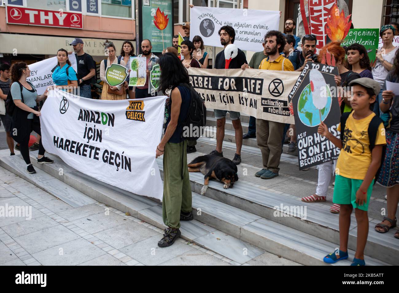 The fire in the Amazon rainforest lead to worldwide protests over Brazilian government inaction. On September 5, 2019, several environmentalist organizations made a call for a demonstration in Istanbul. Their main slogan was ''Take action for the Amazon''. The crowd also carried signs that pointed out the deforestation in Northern Forests in Turkey. (Photo by Erhan Demirtas/NurPhoto) Stock Photo