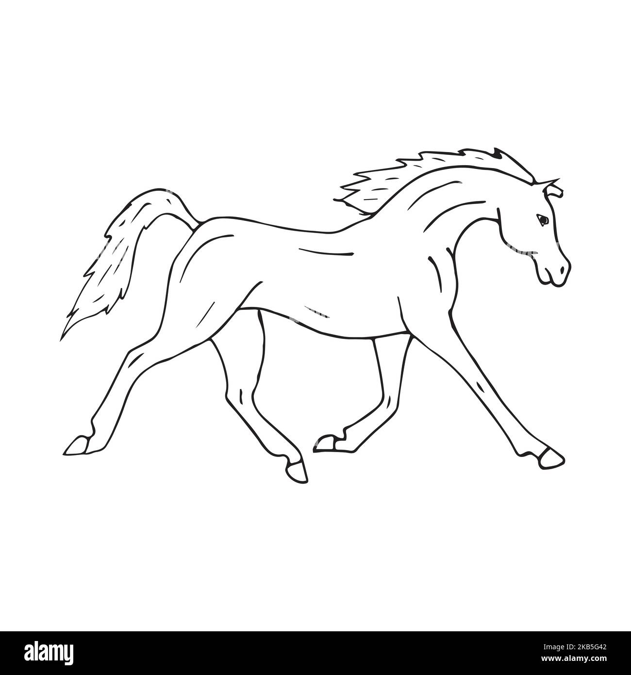 Vector hand drawn doodle sketch Arabian horse isolated on white ...