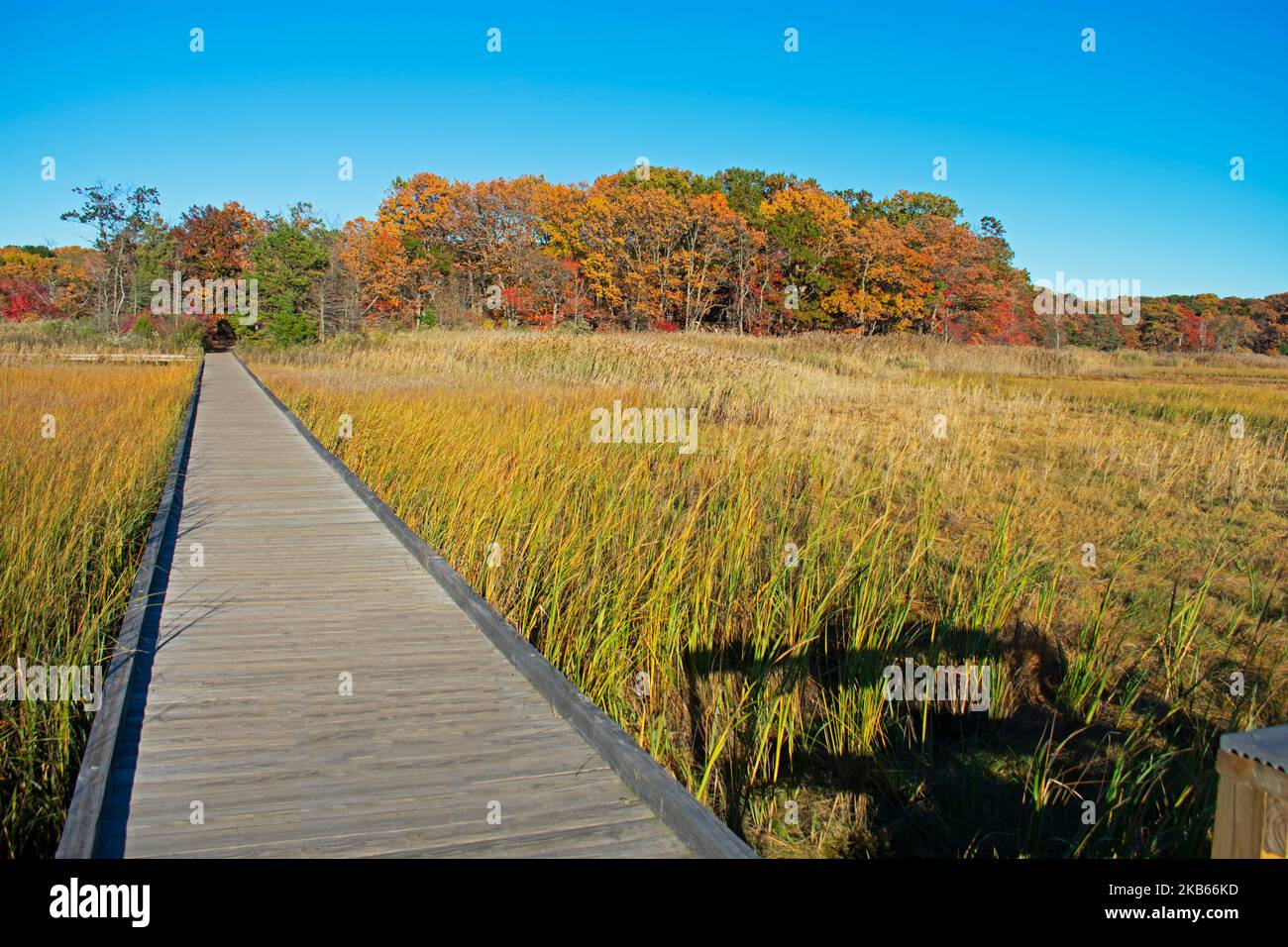 Wooden walkway over marshland by Hooks Creek at Cheesequake State Park