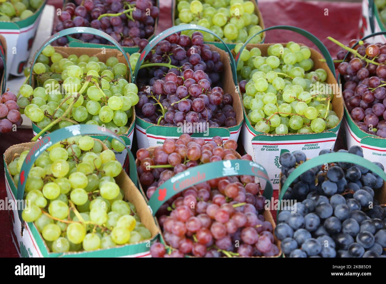 Fresh grapes being sold during the 175th Markham Agricultural Fair in Markham, Ontario, Canada, on October 05, 2019. (Photo by Creative Touch Imaging Ltd./NurPhoto) Stock Photo