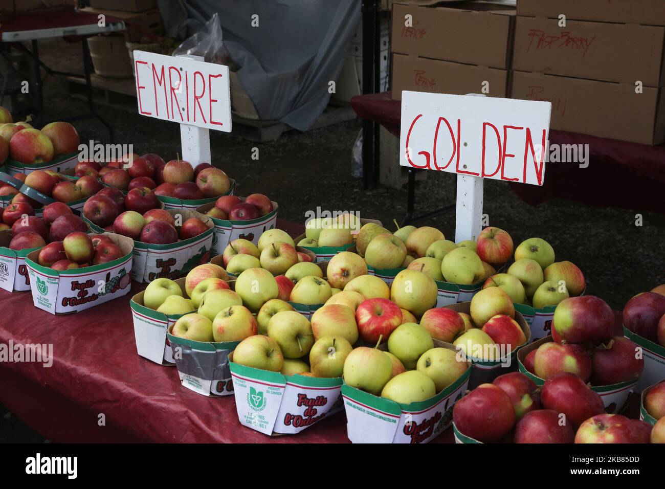Fresh apples being sold during the 175th Markham Agricultural Fair in Markham, Ontario, Canada, on October 05, 2019. (Photo by Creative Touch Imaging Ltd./NurPhoto) Stock Photo