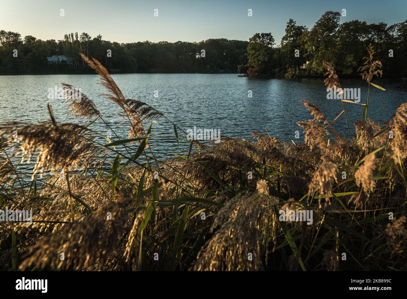 Lake view at the Tête d'Or park in Lyon, France, on October 14, 2019. (Photo by Nicolas Liponne/NurPhoto) Stock Photo