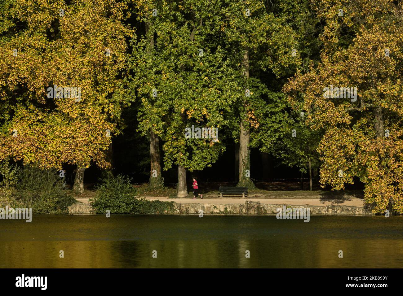 A woman jogs along the lake at the Tête d'Or park in Lyon, France, on October 14, 2019. (Photo by Nicolas Liponne/NurPhoto) Stock Photo