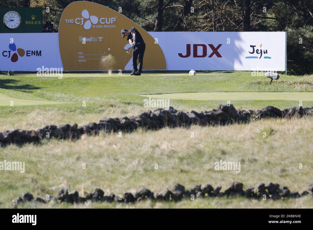 Colin Morikawa of USA action on the green during an PGA Tour The CJ Cup Nine Bridges Final Round