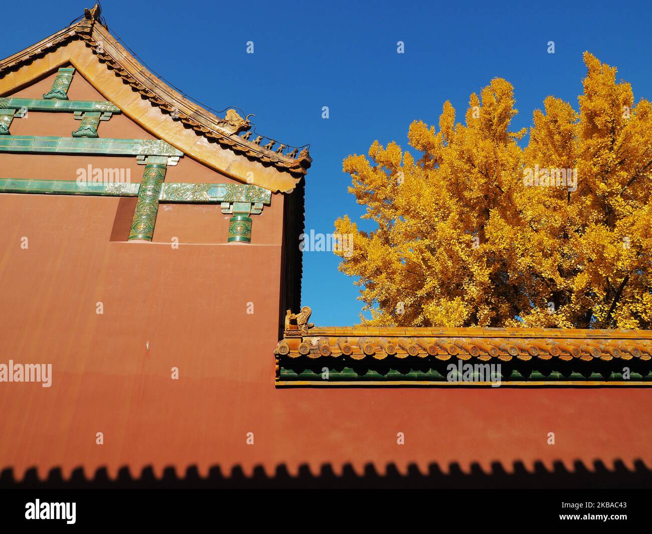 Autmn Beijing The beautiful autumn scenery attracts tourists to see in the Forbidden ...