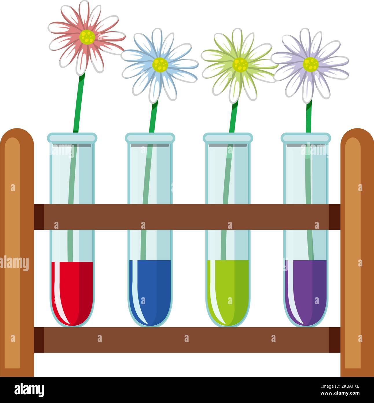 Plant absorb the water colour experiment illustration Stock Vector