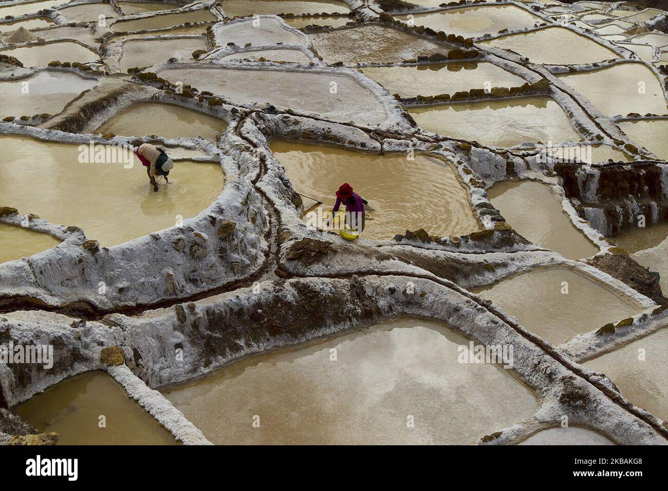 A woman and her daughter collect salt from the evaporation ponds located in the town of Maras near Cusco Peru in the Sacred Valley of the Incas on July 14, 2014. These ponds have been in use since the days of the Inca. Salt is obtained by evaporating salty water from a subterranean stream. The flow is directed by a system of tiny channels constructed so the water gradually flows down onto several hundred ancient terraced ponds. As water evaporates in the arid Andean air the salt precipitates as white crystals on the ponds walls and floor. Photo by Tom O’Neill (Photo by Thomas O'Neill/NurPhoto) Stock Photo