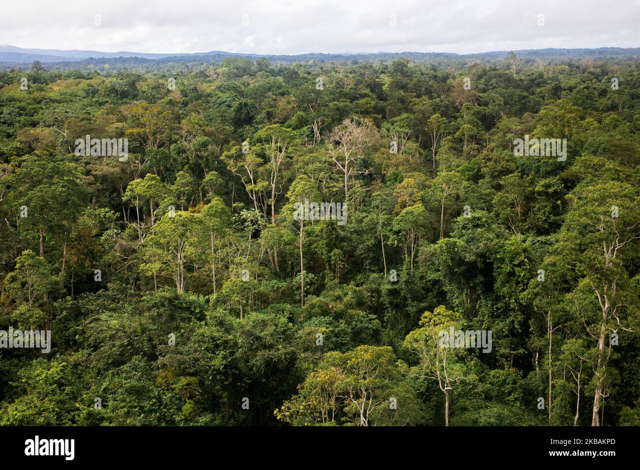 Maripasoula, France, June 29, 2019. An aerial view of the Amazonian forest near the airport of the municipality of Maripasoula. (Photo by Emeric Fohlen/NurPhoto) Stock Photo