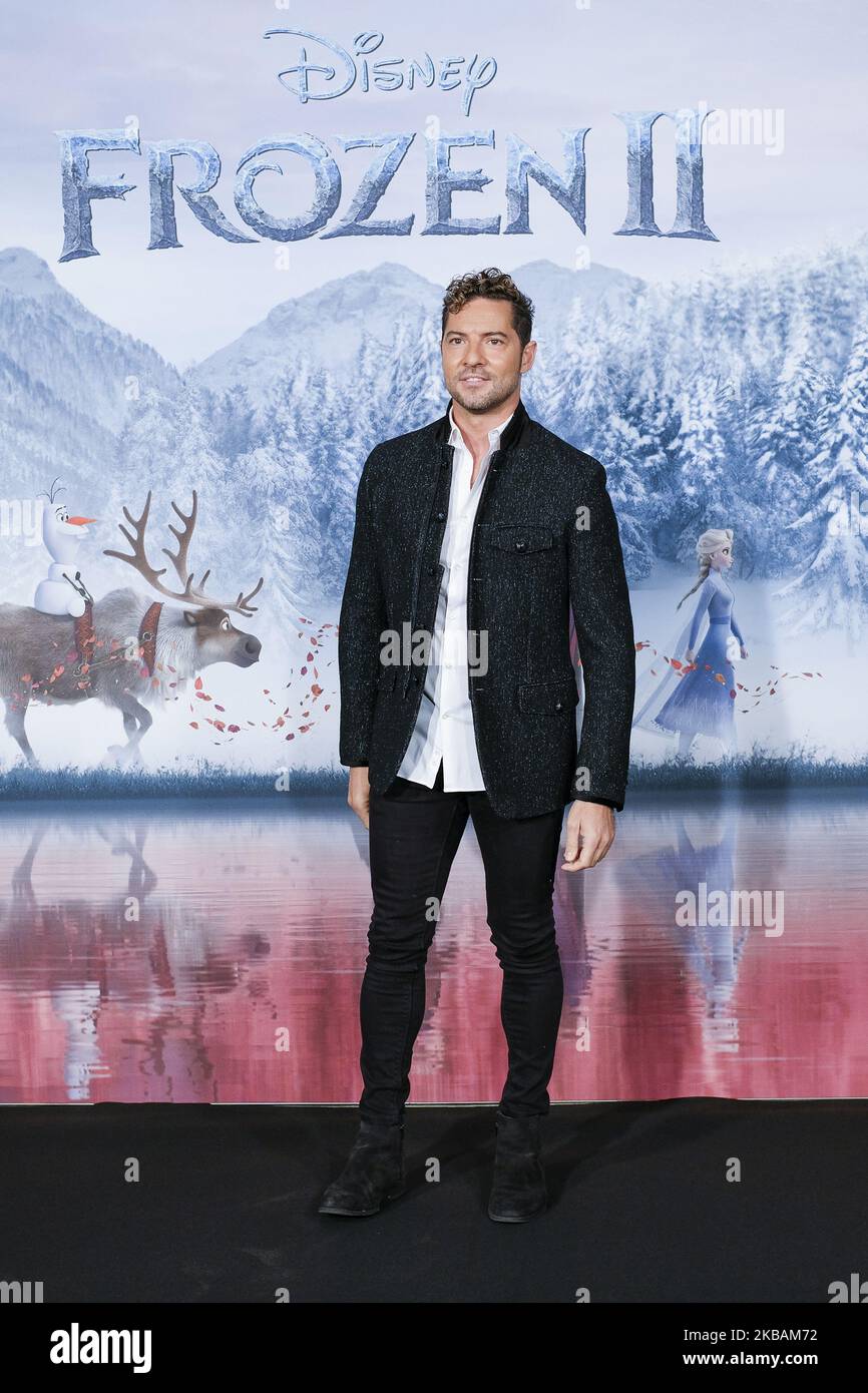 David Bisbal attends 'Frozen 2' photocall on November 11, 2019 in Madrid, Spain. (Photo by Oscar Gonzalez/NurPhoto) Stock Photo