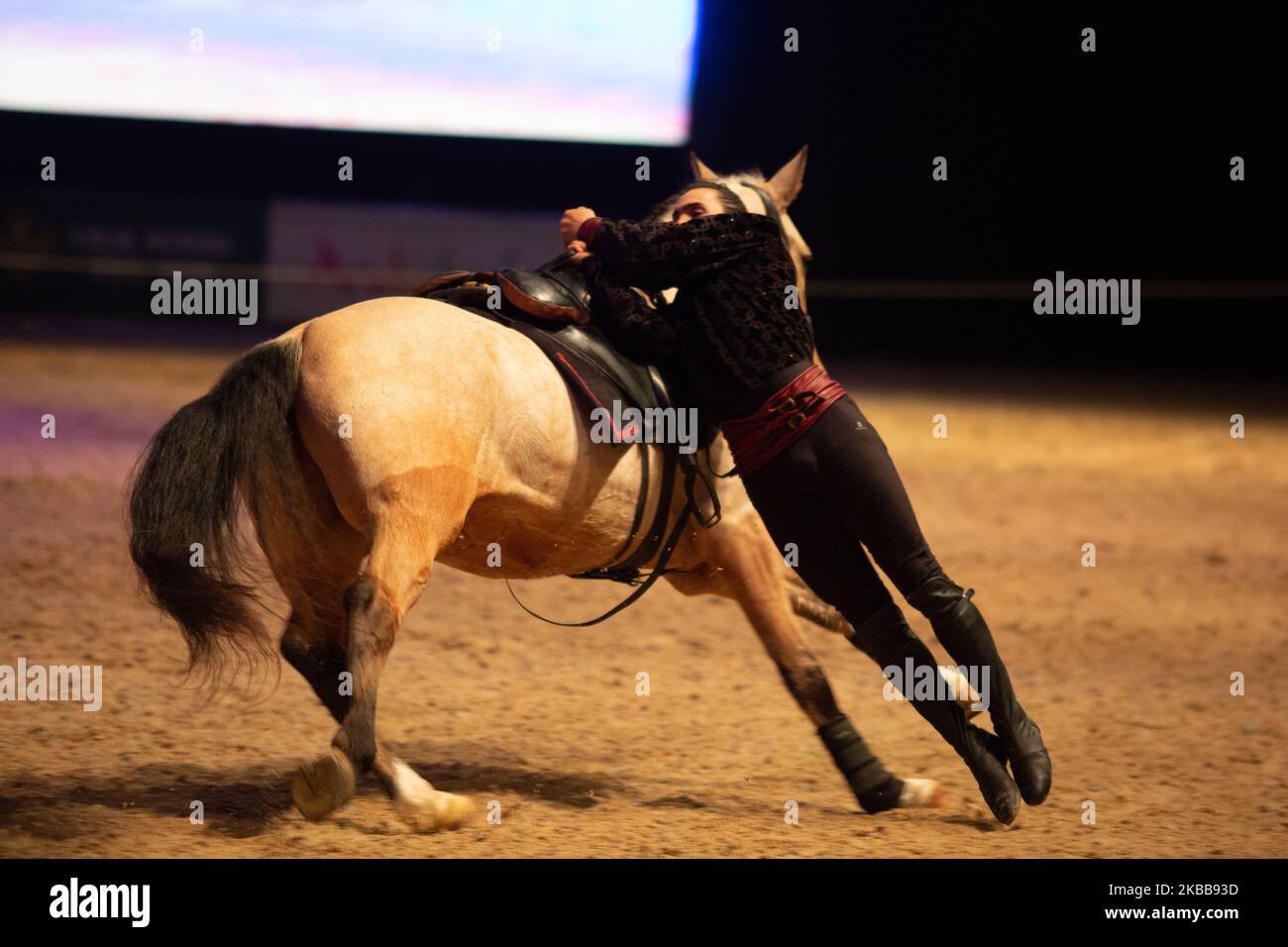 A purebred Spanish horse is seen during the Sicab International Horse
