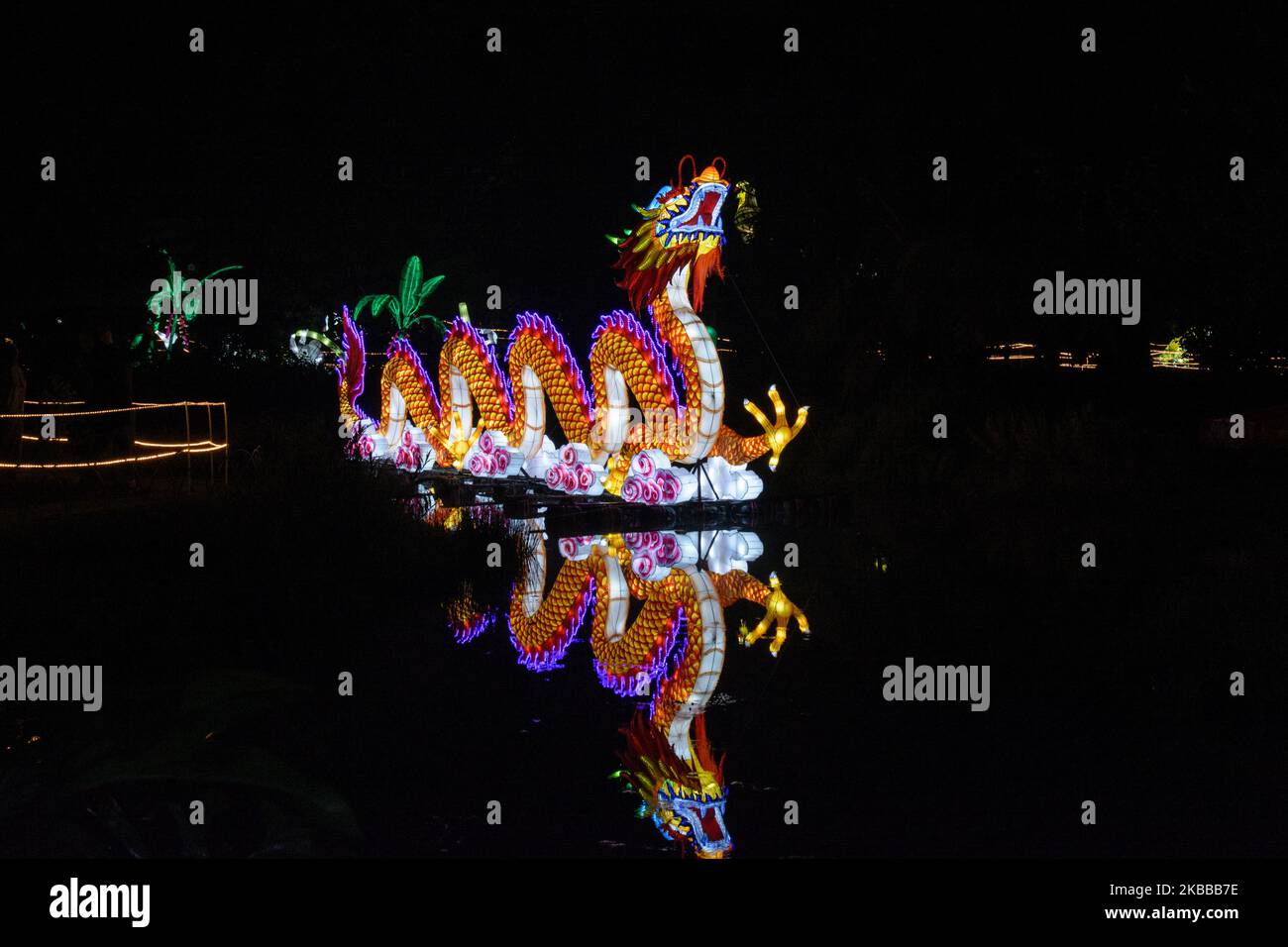 These luminous giants were designed by Colombians and since January this year they are being assembled in China. In picture: a Dragon (Photo by Vanessa Gonzalez/NurPhoto) Stock Photo