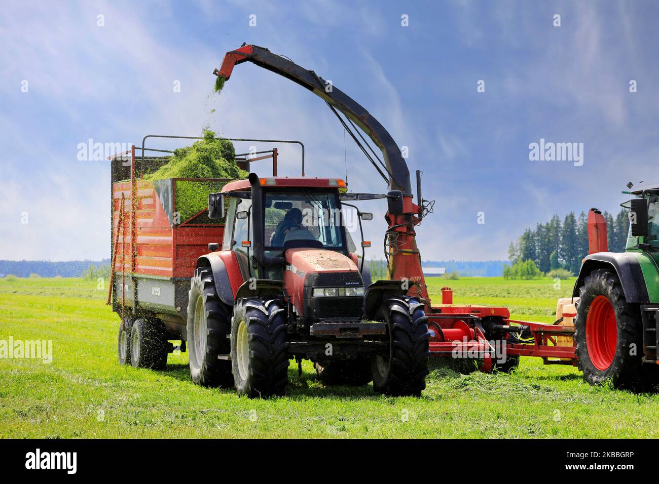 Two tractors in field harvesting grass with forage harvester for dairy cattle feed on a beautiful day in June. Stock Photo