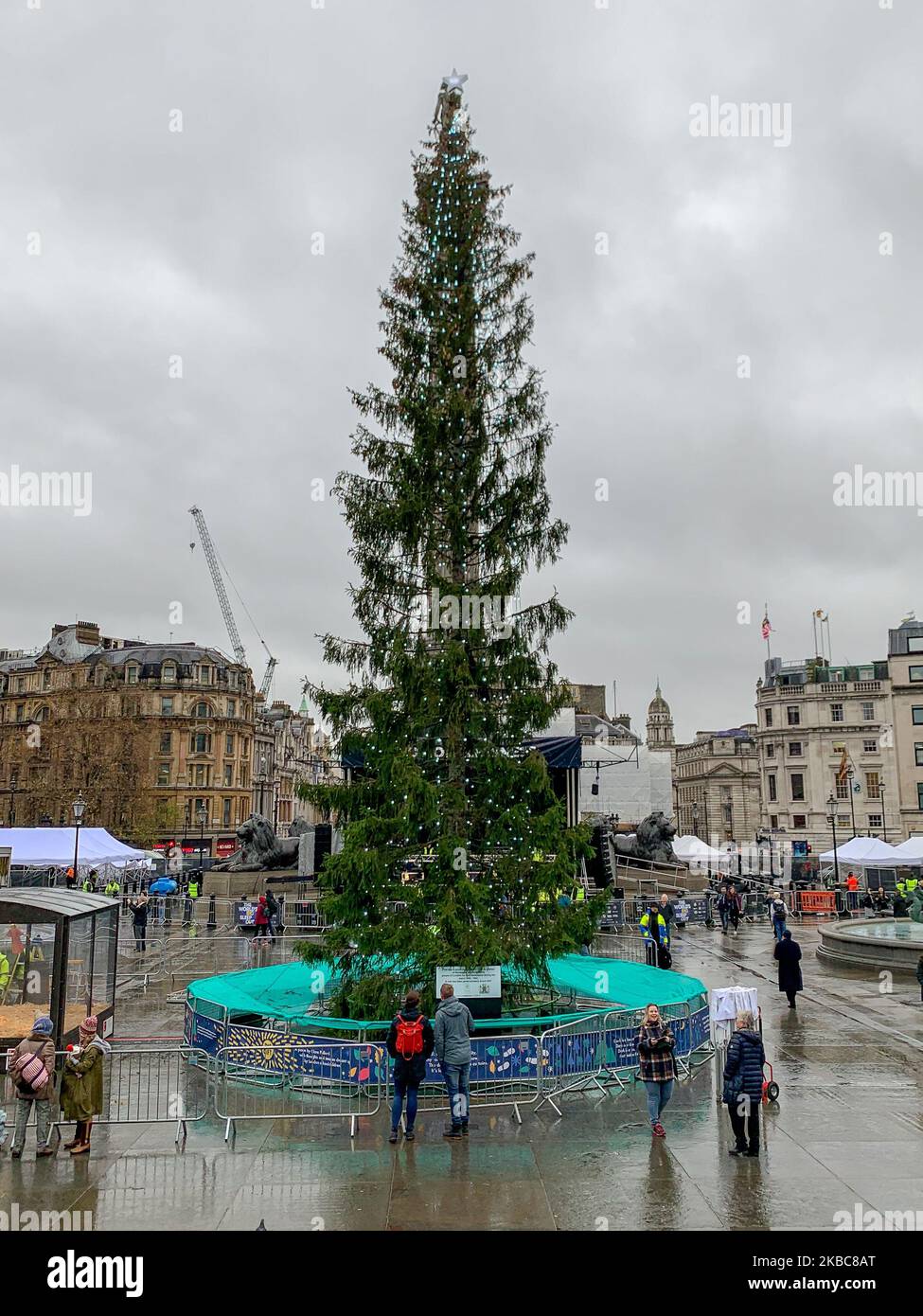 2019 trafalgar square christmas tree hires stock photography and