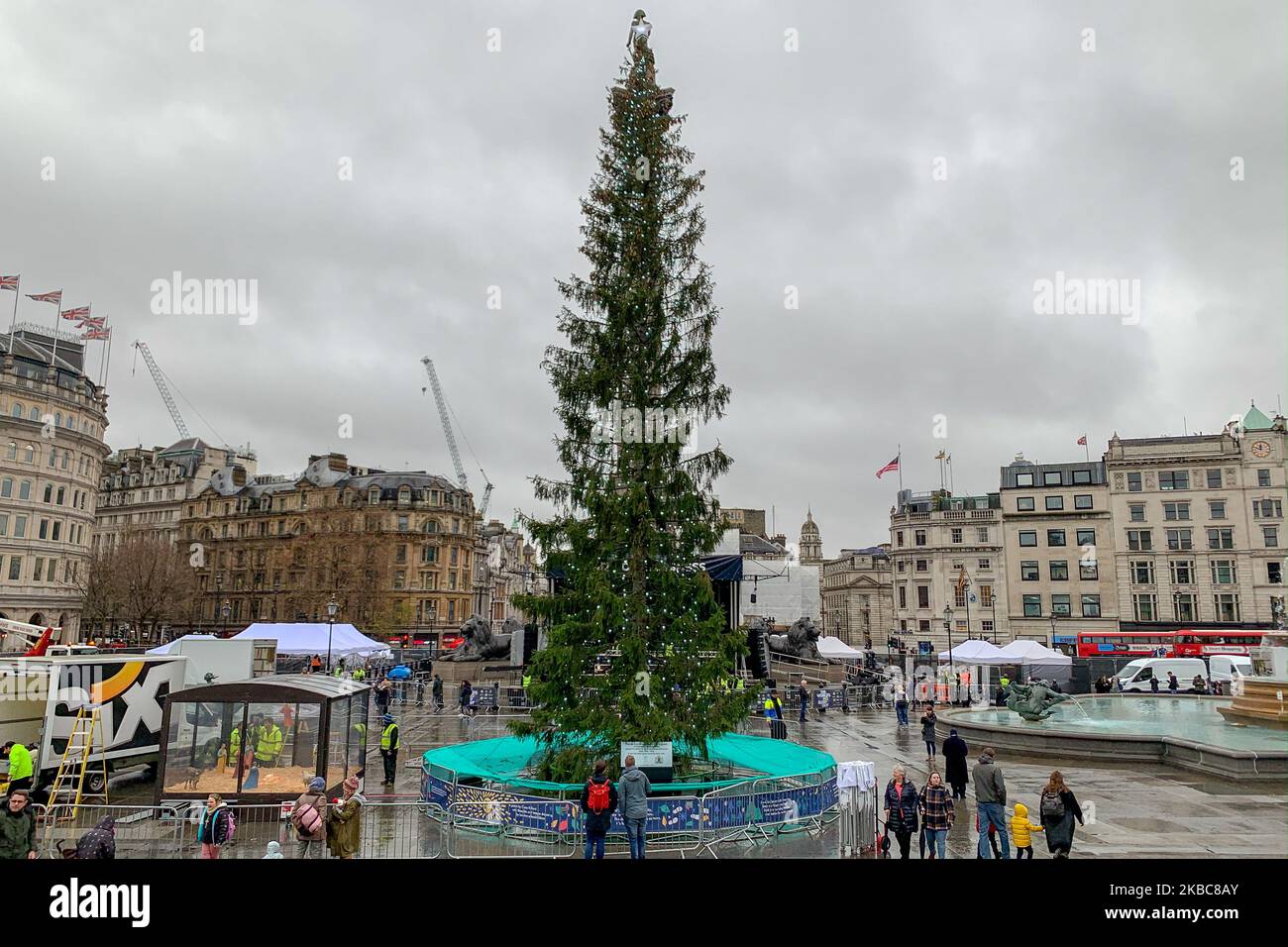 Christmas Tree in Trafalgar Square. The tree has been provided every
