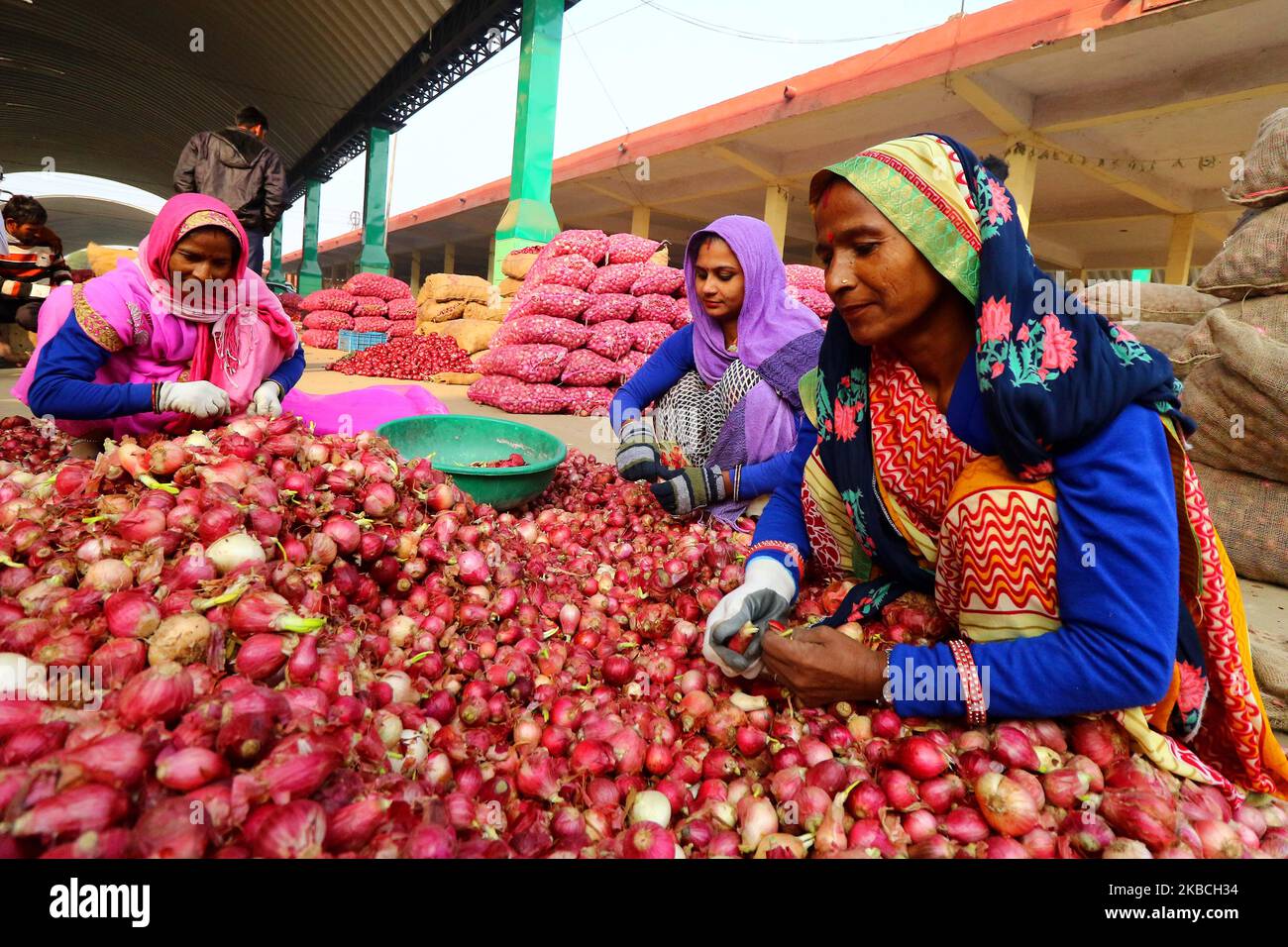 Women workers sort onions hi-res stock photography and images - Alamy
