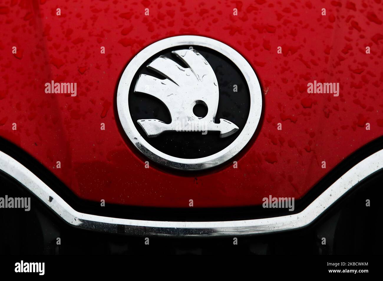 Skoda logo is seen on the car Krakow, Poland on November 21, 2019. (Photo  by Jakub Porzycki/NurPhoto Stock Photo - Alamy