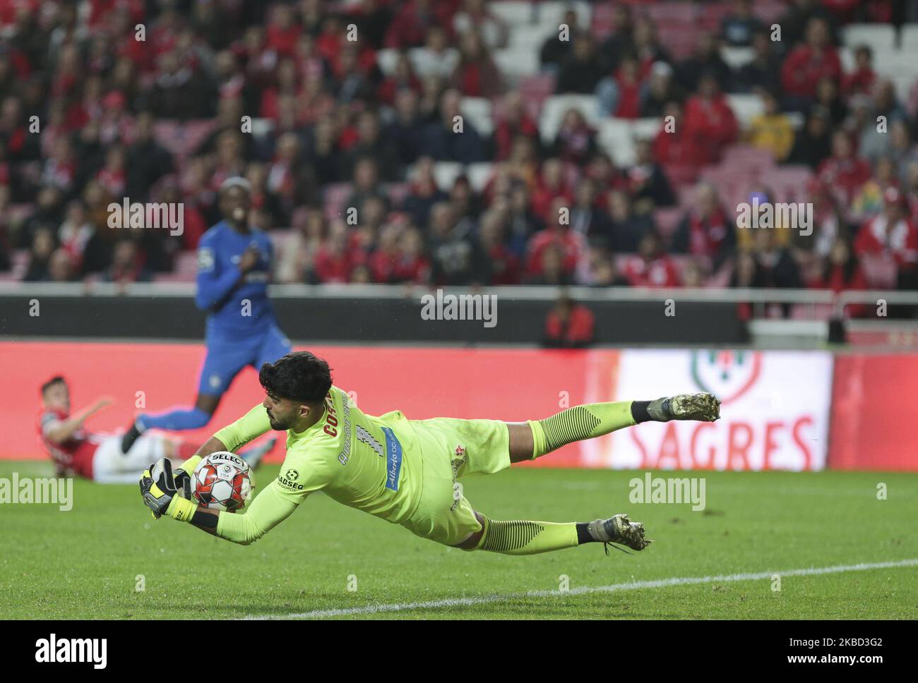CS Maritimo Goalkeeper Amir Abedzadeh in action during the Premier League 2019/20 match between SL Benfica and CS Maritimo, at Luz Stadium in Lisbon on November 30, 2019. (Photo by Paulo Nascimento / DPI / NurPhoto) Stock Photo