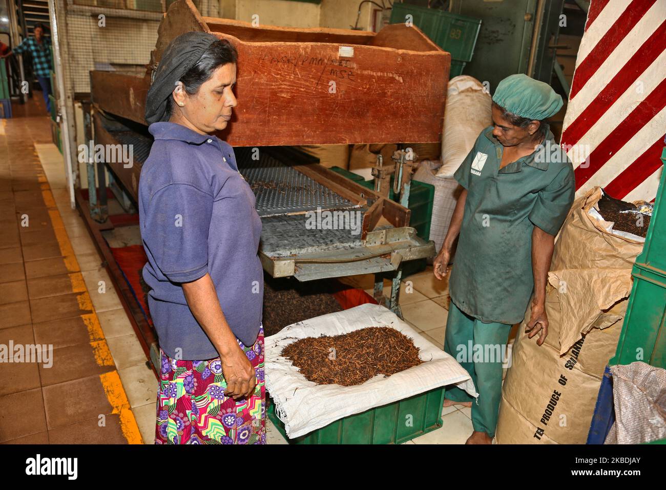 Workers stand by a large machine drying tea leaves at the Geragama Tea Factory in Pilimathalawa, Sri Lanka. Geragama is one of the premium and the oldest tea plantations in Sri Lanka dating back to 1903. (Photo by Creative Touch Imaging Ltd./NurPhoto) Stock Photo