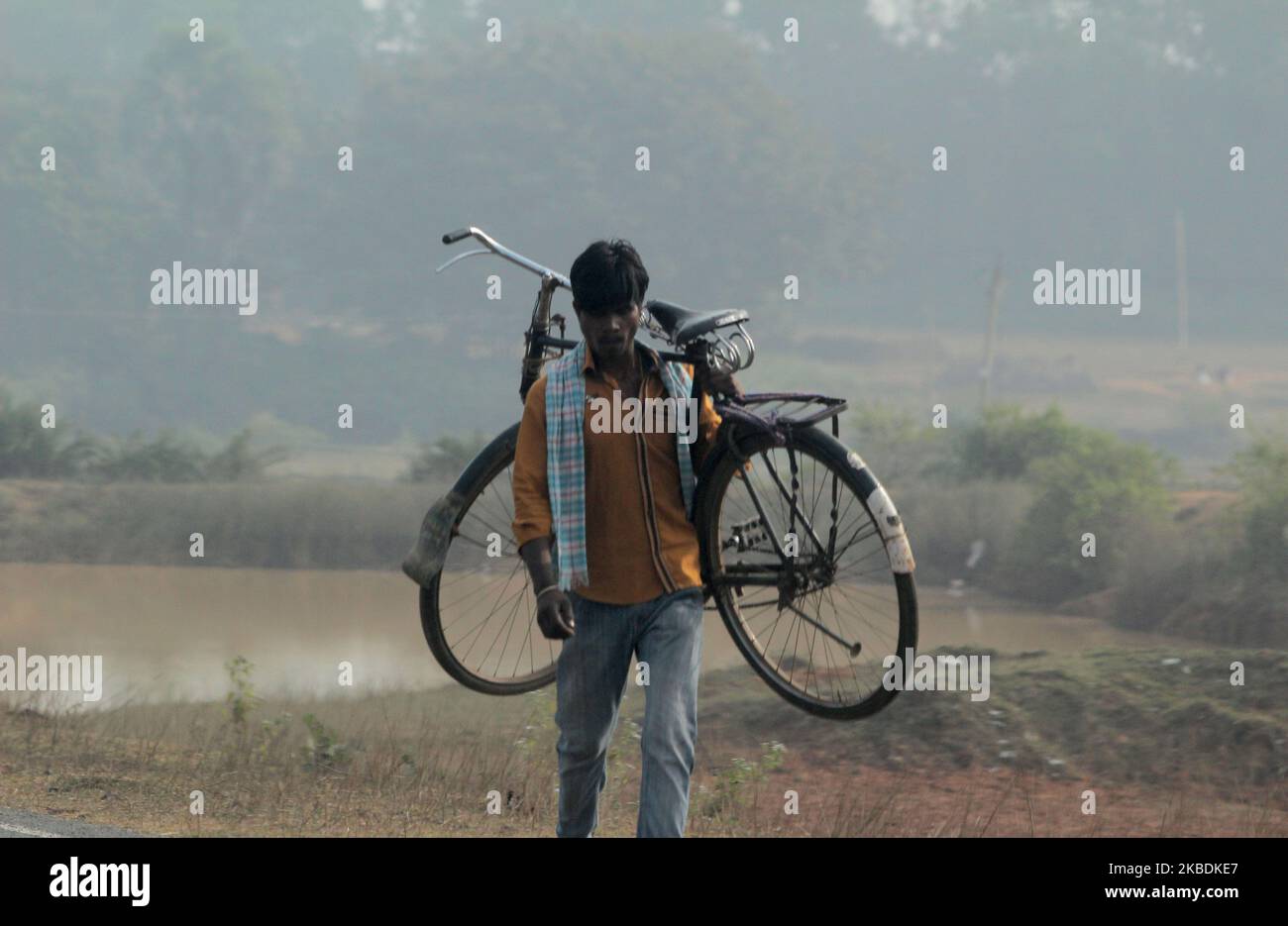 A villager carrying his bicycle as he is on way to repair it at Balitutha village in Jagatsinghpur district, 120 km away from the eastern Indian state Odisha's capital city Bhubaneswar. (Photo by STR/NurPhoto) Stock Photo