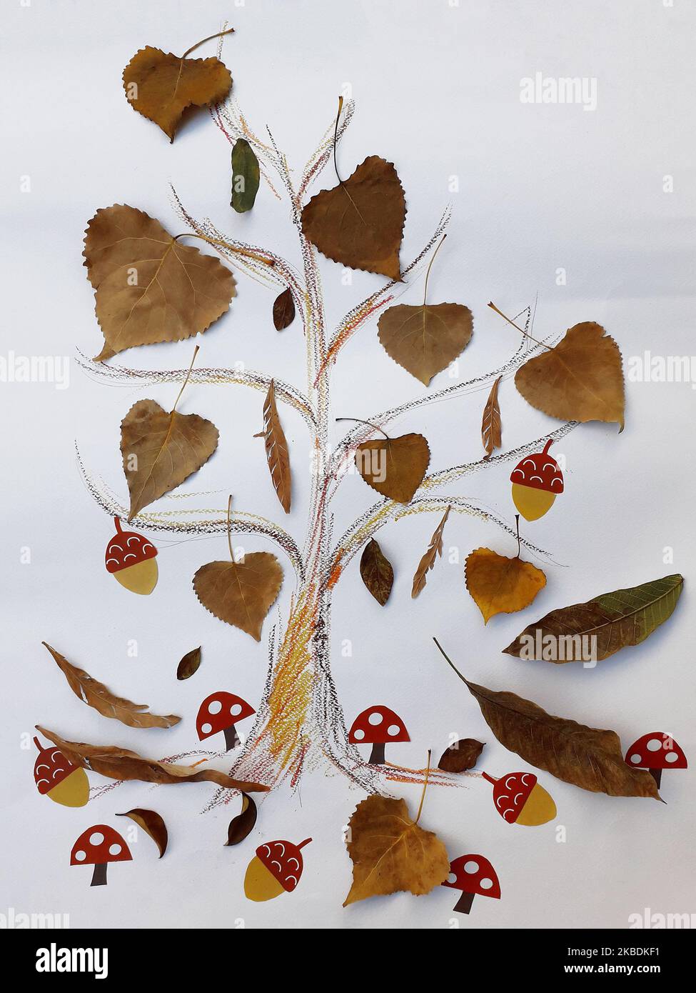 A preschooler craft for the autumn season. Stock Photo