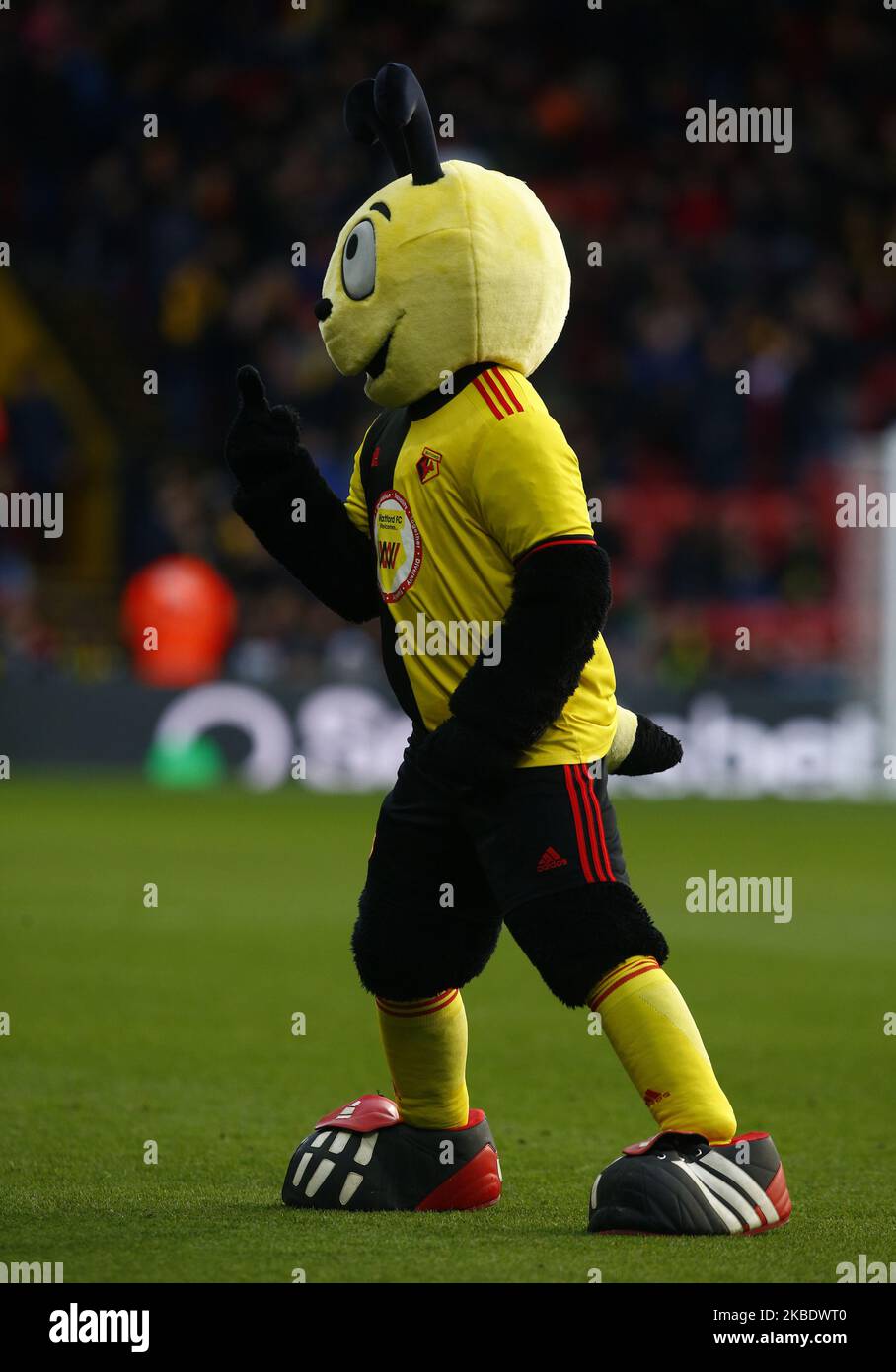 Mascot Harry for Watford during Emirates FA Cup Third Round match between Watford and Tranmere Rovers on January 04 2020 at Vicarage Road Stadium, Watford, England. (Photo by Action Foto Sport/NurPhoto) Stock Photo