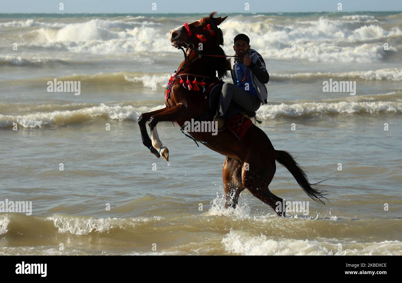 A Palestinian man rides a rearing horse on the beach in Gaza City on Sunday, Jan. 5, 2020. (Photo by Majdi Fathi/NurPhoto) Stock Photo