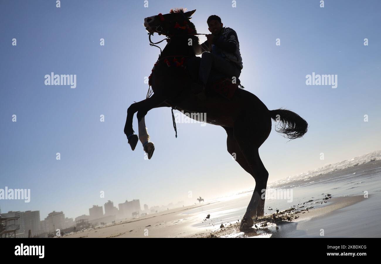 A Palestinian man rides a rearing horse on the beach in Gaza City on Sunday, Jan. 5, 2020. (Photo by Majdi Fathi/NurPhoto) Stock Photo