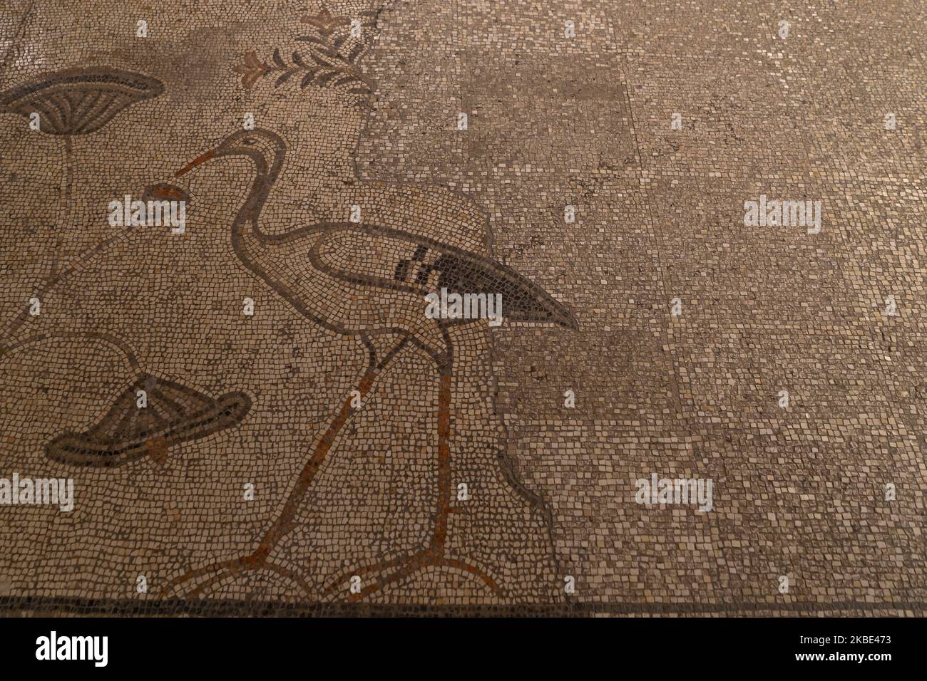 Mosaic of the loaves and the fishes hires stock photography and images