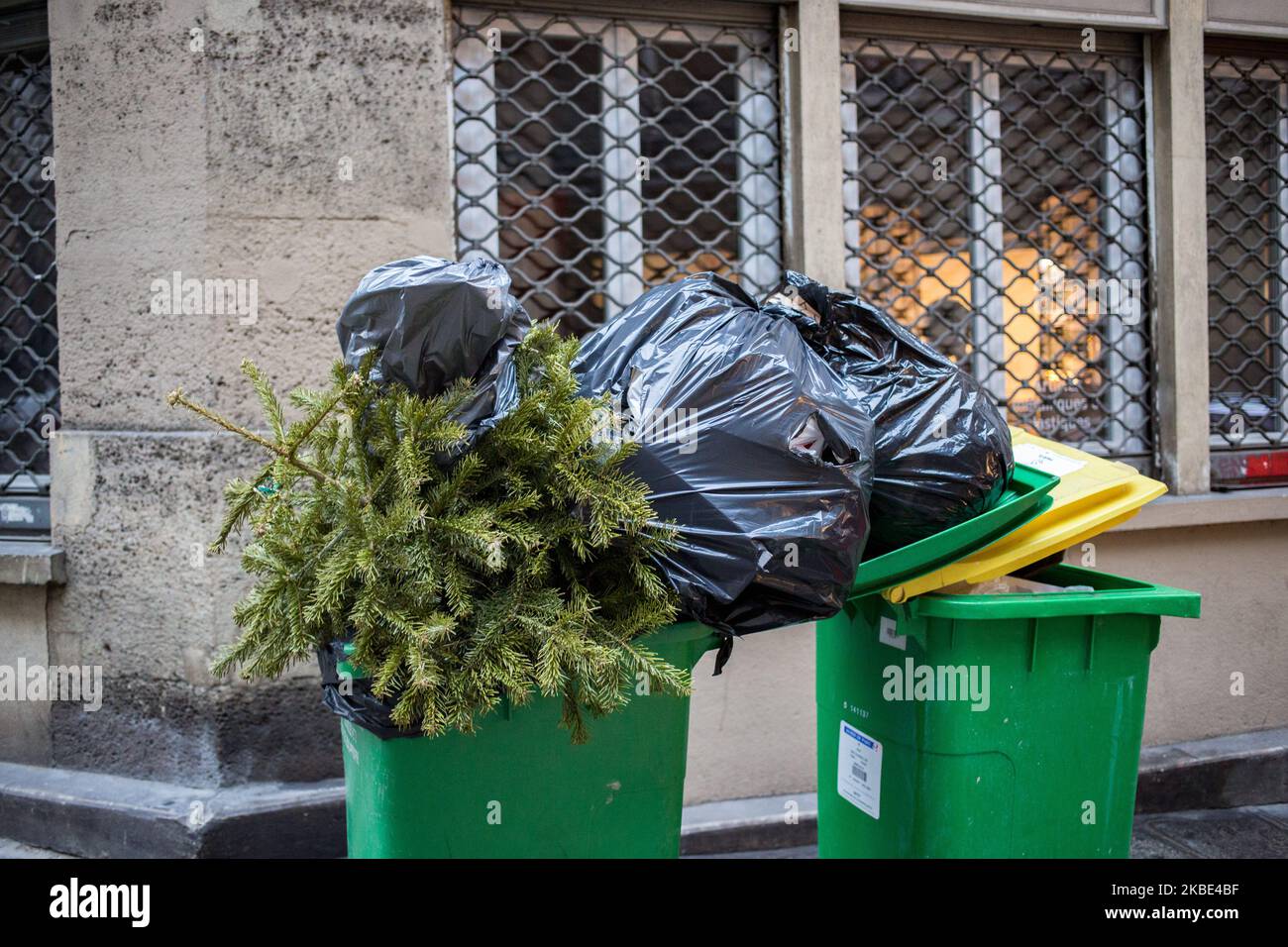 Paris, France, January 7, 2020. A Christmas tree is placed in a trash ...