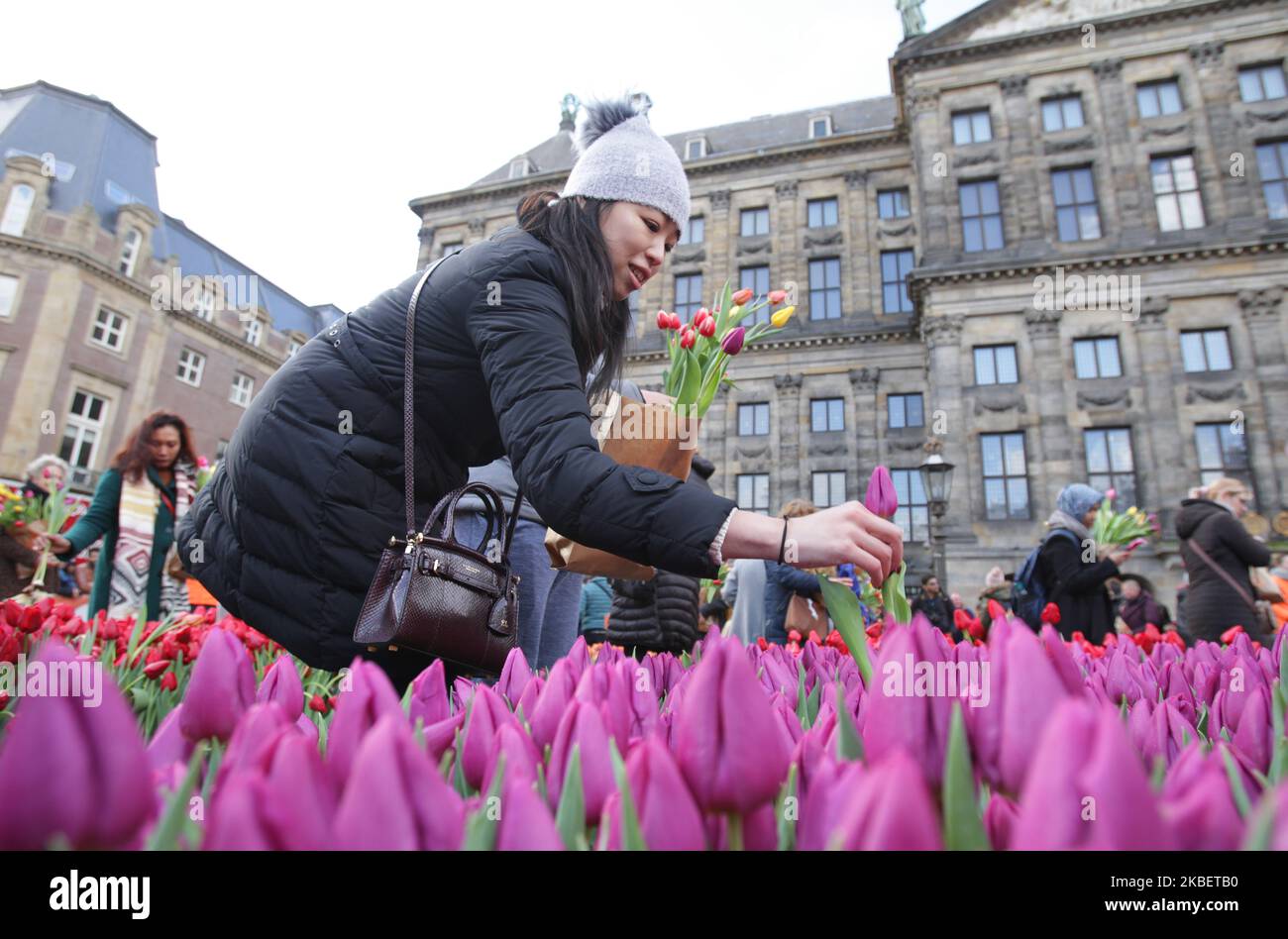 People attend National Tulip Day in front of the Royal Palace at the Dam Square on January 18