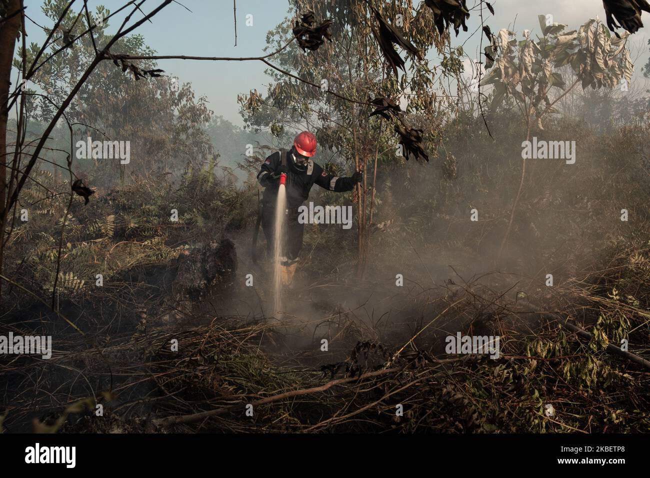 Fire Forest Asia 2020 Hi Res Stock Photography And Images Alamy