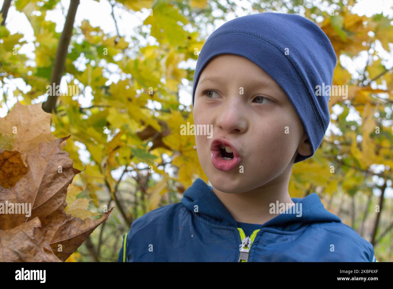 Autumn portrait of a boy with an open mouth Stock Photo