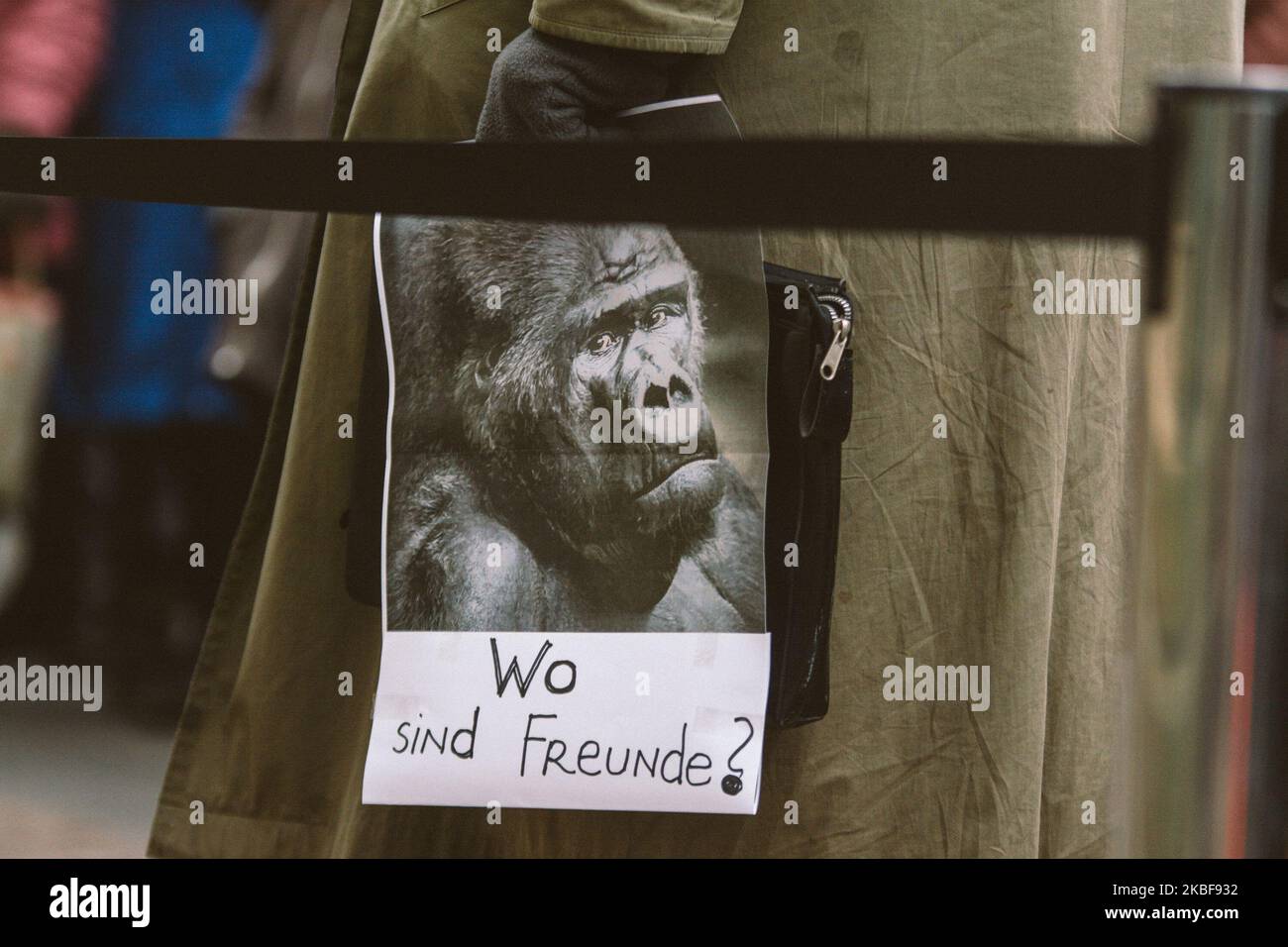 A self-made placard is seen in the rally for Krefeld zoo in front of Krefeld town hall, Germany, on 24 January 2020. (Photo by Ying Tang/NurPhoto) Stock Photo