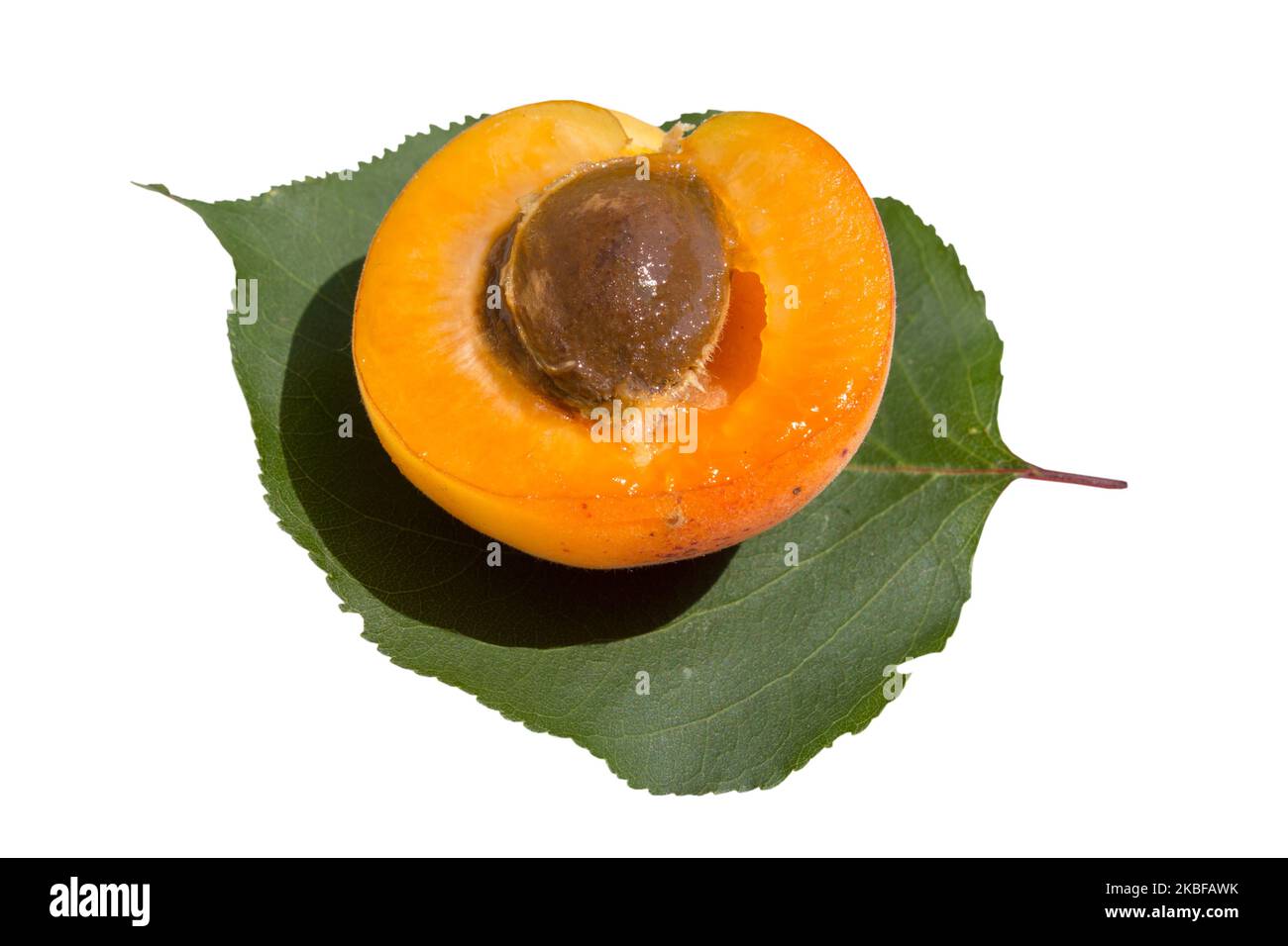 apricot fruits with green leaf and cut isolated on white background