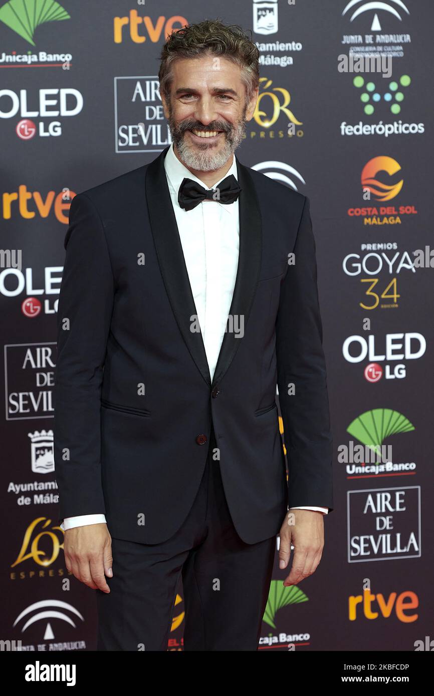 Leonardo Sbaraglia attends the 34th 'Goya' Cinema Awards 2020 Red Carpet photocall at Jose Maria Martin Carpena Sports Palace in Malaga, Spain on Jan 25, 2020 (Photo by Carlos Dafonte/NurPhoto) Stock Photo