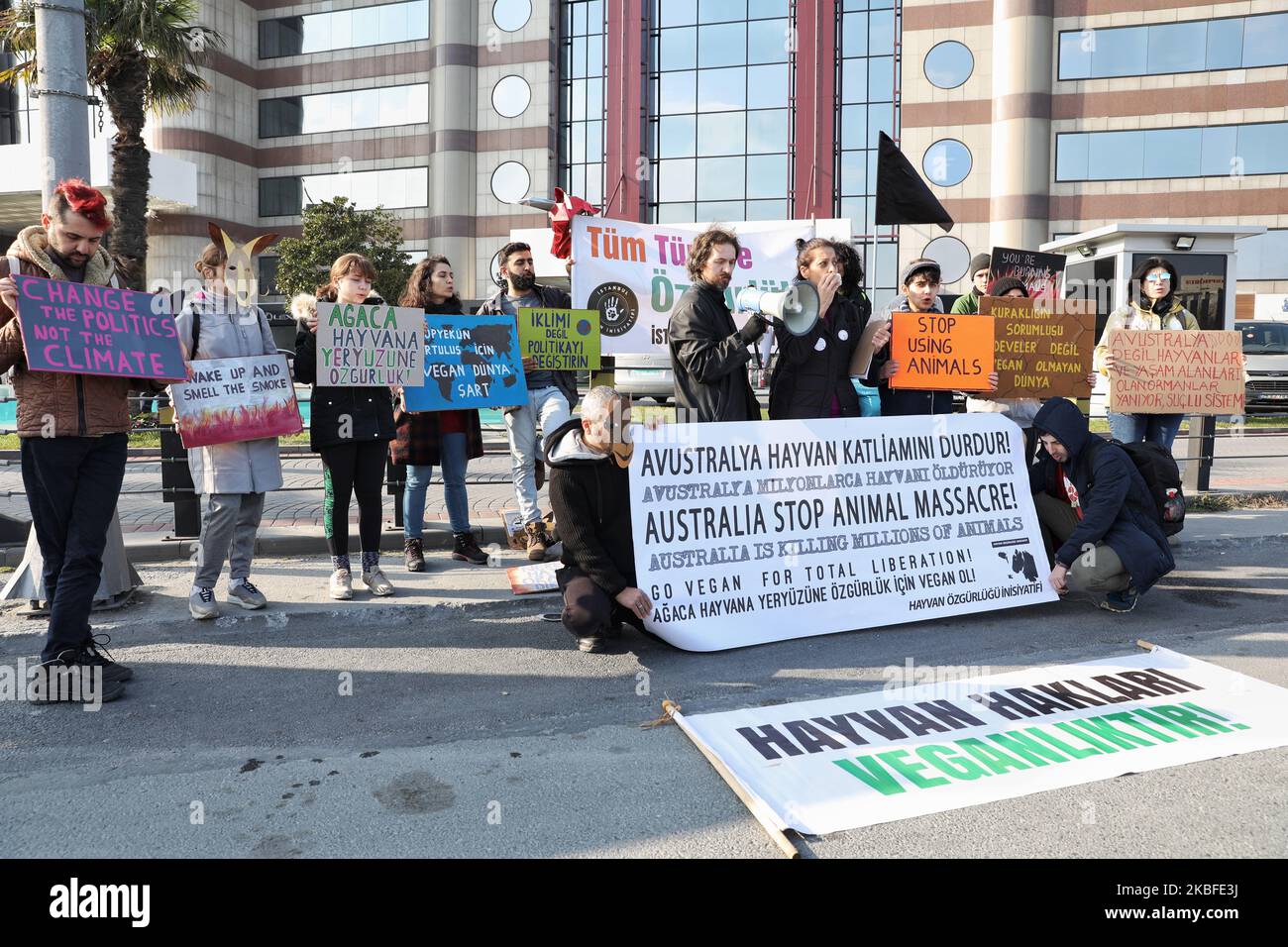 Activists of The Animal Freedom Initiative protested Australia, which they claimed was planning to kill camels and cats, before the Australian Consulate General in Istanbul, Turkey on January 26, 2020. (Photo by Onur Dogman/NurPhoto) Stock Photo