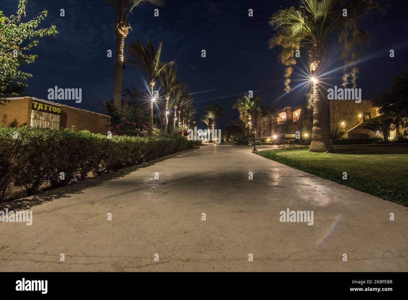 path with palm trees and wonderful lights from a resort in egypt in the night Stock Photo