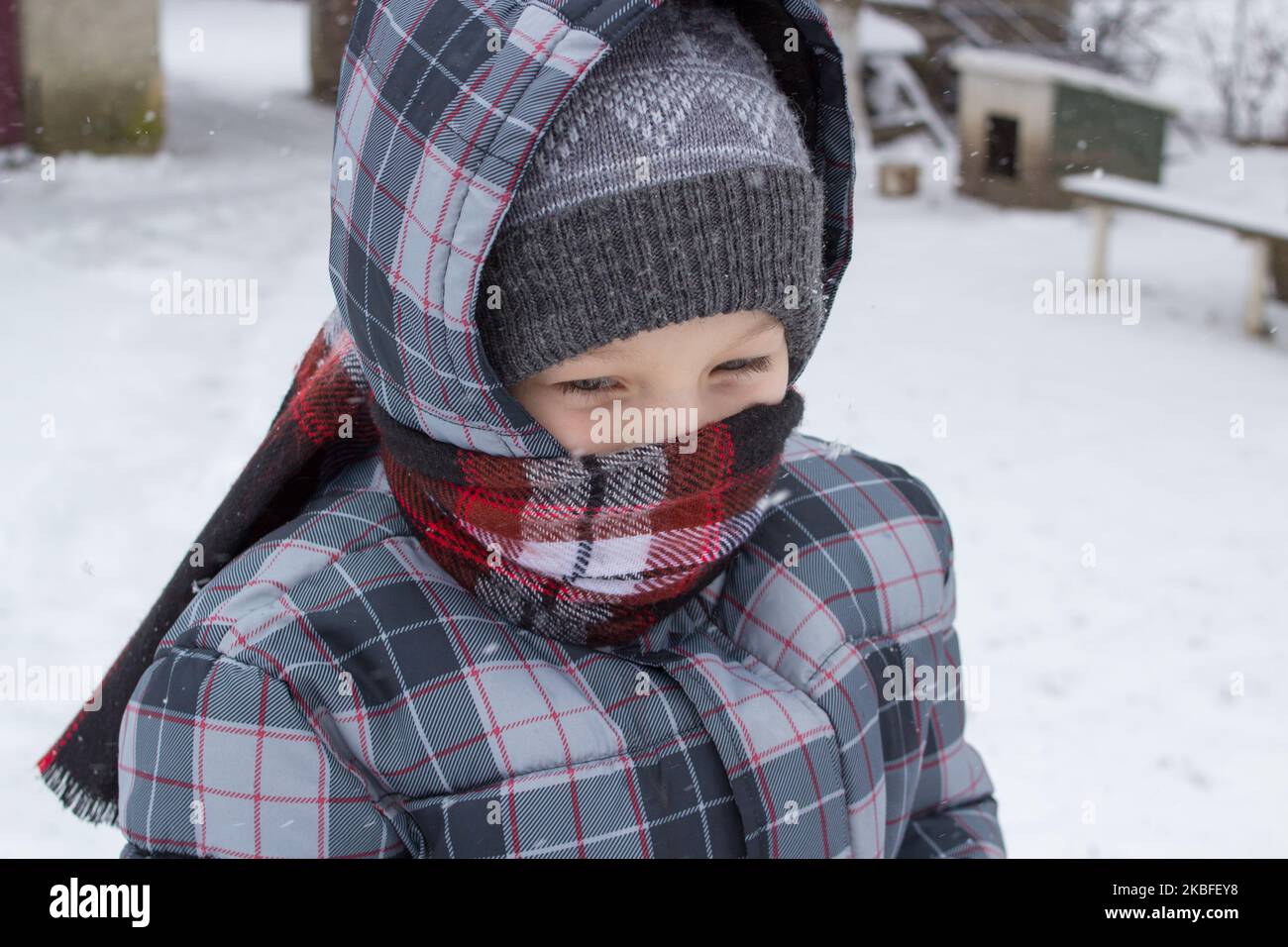 Portrait of a boy in the winter neck is tied with a scarf Stock Photo