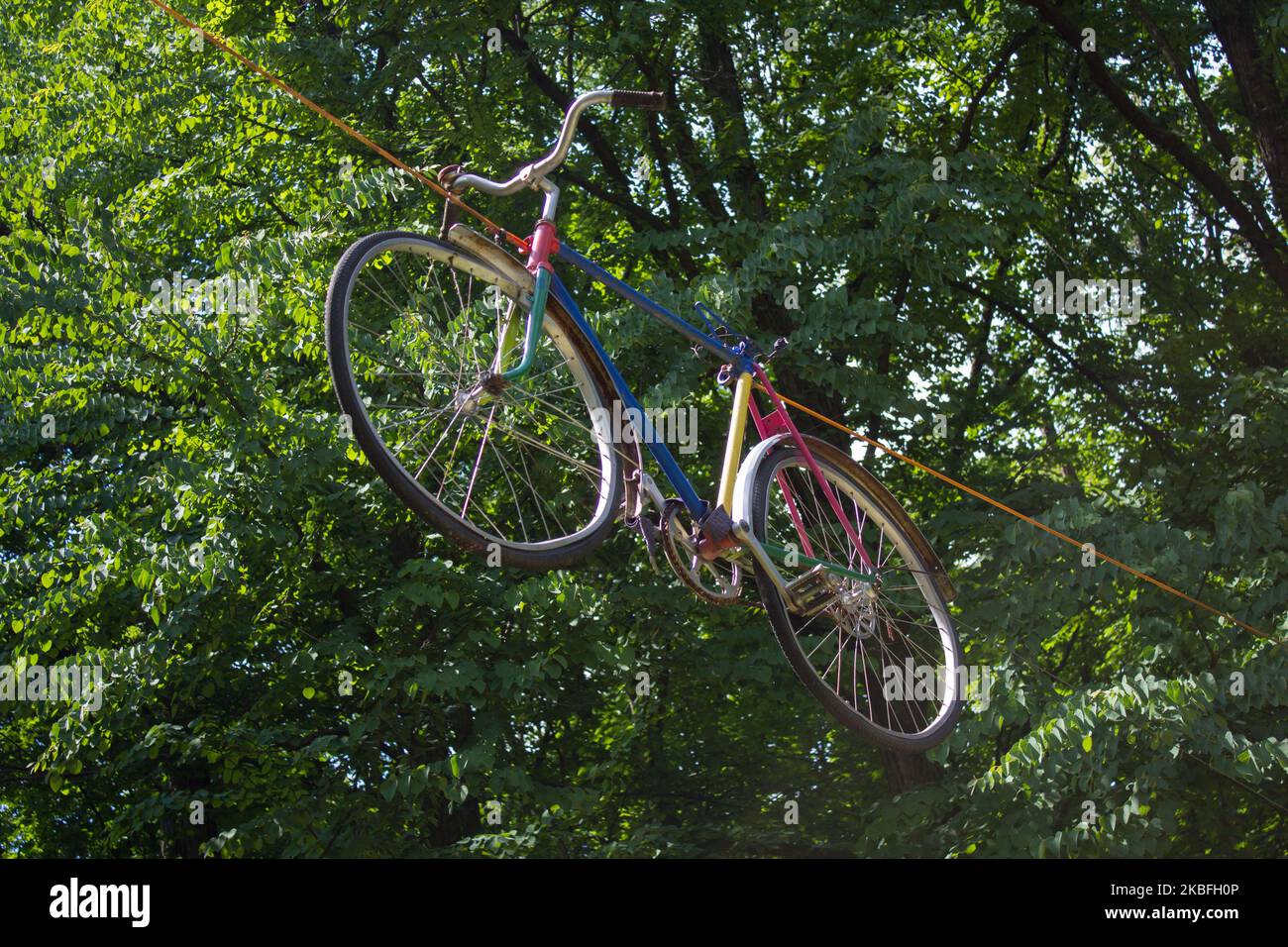 Bicycle hanging on wooden pillar in the forest. Road fast bike parked on the tree. Stock Photo